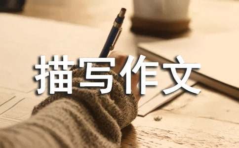 篮球教练如何制定总决赛的长期发展计划_2